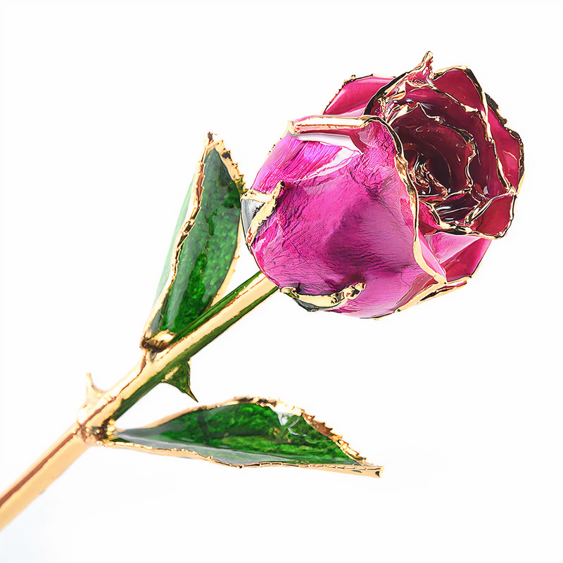 Forever Rose Pink (Closed Bud)