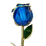 Forever Rose Blue (Closed Bud)